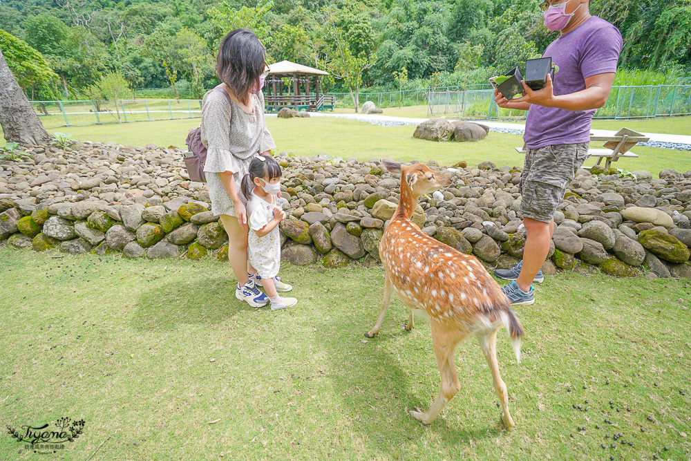 嘉義餵鹿景點｜逐鹿傳說梅花鹿園，大又美的梅花鹿園~親子同樂餵起來！！ @緹雅瑪 美食旅遊趣