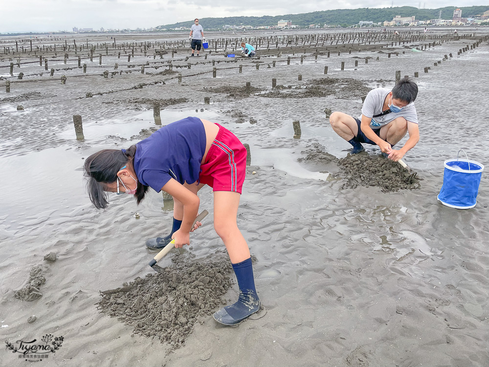 新竹挖蛤｜免費挖蛤景點，新竹香山「海山漁港海灘」親子一起玩沙挖蛤趣！！交通停車注意事項資訊~ @緹雅瑪 美食旅遊趣