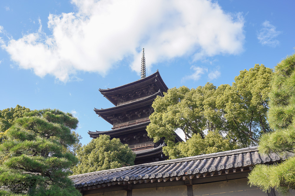 OMO3 京都東寺 by 星野集團｜房型介紹｜早餐＆東寺導覽：京都心時空旅行！！臨近東寺五層寶塔，絕佳東寺賞楓賞櫻住宿推薦 @緹雅瑪 美食旅遊趣