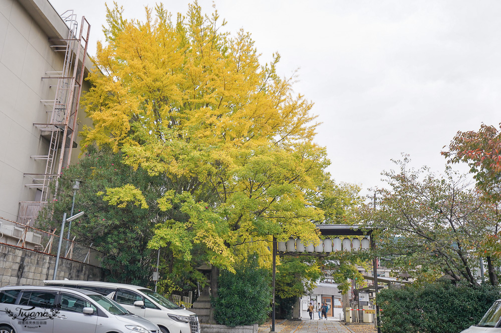 OMO5 京都祇園 by 星野集團｜房型介紹｜早餐＆晚餐＆導覽：來京都必住的星野集團精品旅店，客房DIY麵包早餐，帶你深入旅遊花見小路、井金毘羅宮、寧寧道、八坂神社 @緹雅瑪 美食旅遊趣