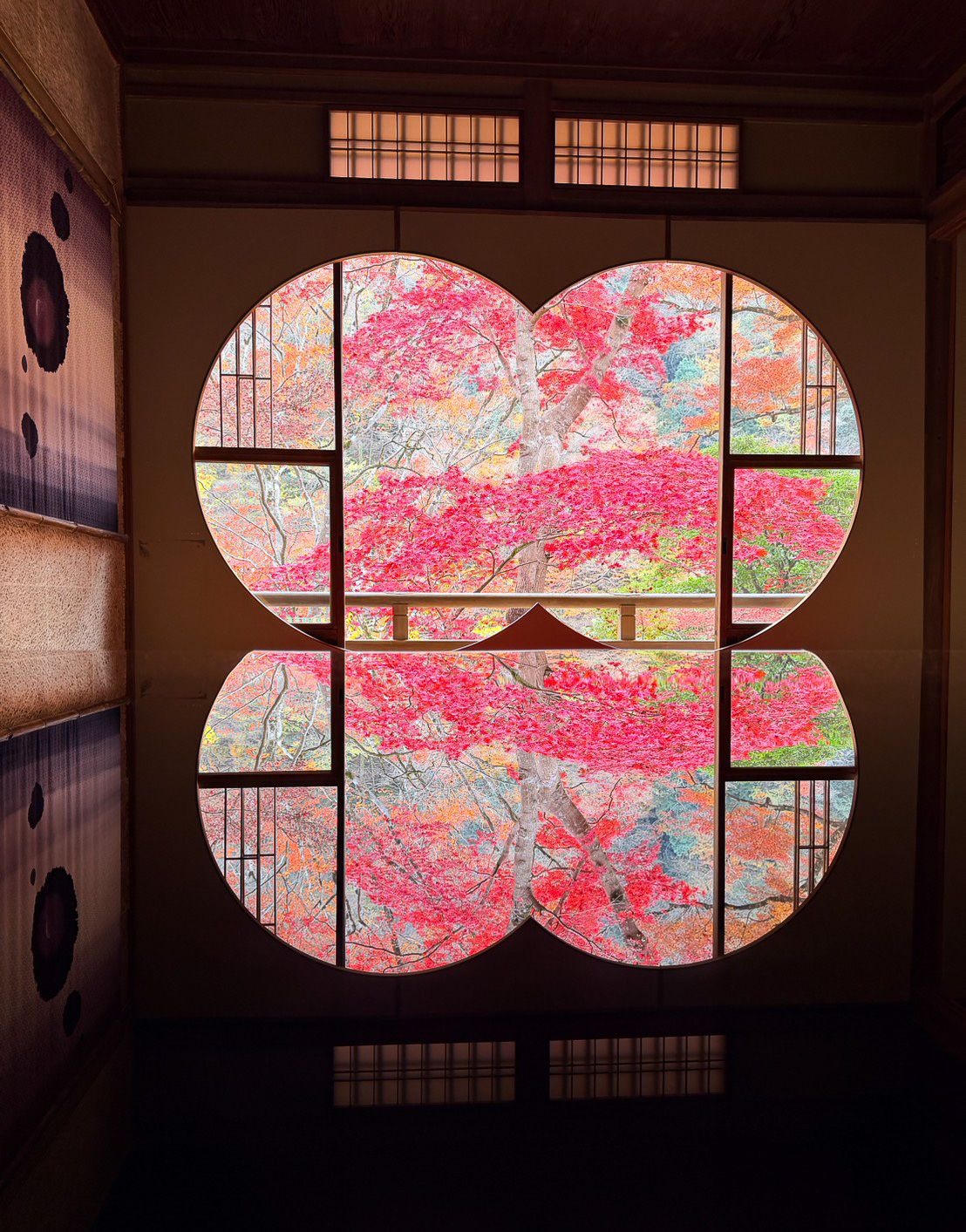 京都賞楓｜祐齋亭｜京都嵐山｜鏡面楓葉，染料藝術家工作室內的絕美秘境賞楓景點，宛如仙境！！ @緹雅瑪 美食旅遊趣