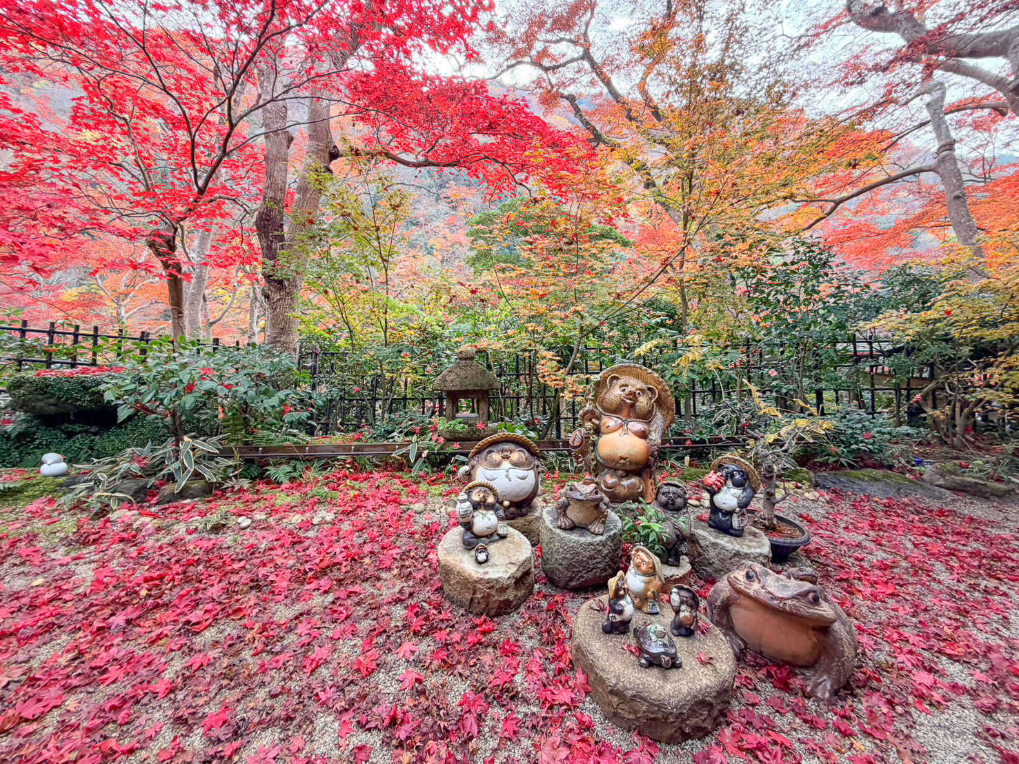 京都賞楓｜祐齋亭｜京都嵐山｜鏡面楓葉，染料藝術家工作室內的絕美秘境賞楓景點，宛如仙境！！ @緹雅瑪 美食旅遊趣