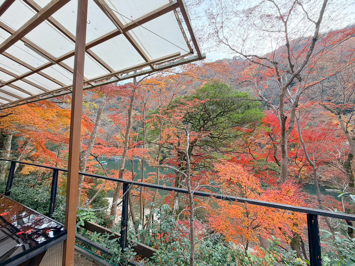 京都賞楓｜祐齋亭｜京都嵐山｜鏡面楓葉，染料藝術家工作室內的絕美秘境賞楓景點，宛如仙境！！ @緹雅瑪 美食旅遊趣