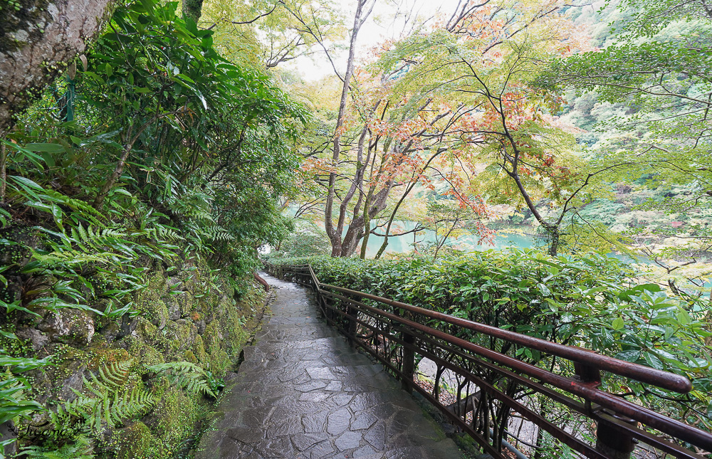 京都賞楓｜祐齋亭｜京都嵐山｜鏡面楓葉，染料藝術家工作室內的絕美秘境賞楓景點，宛如仙境！！ @緹雅瑪 美食旅遊趣