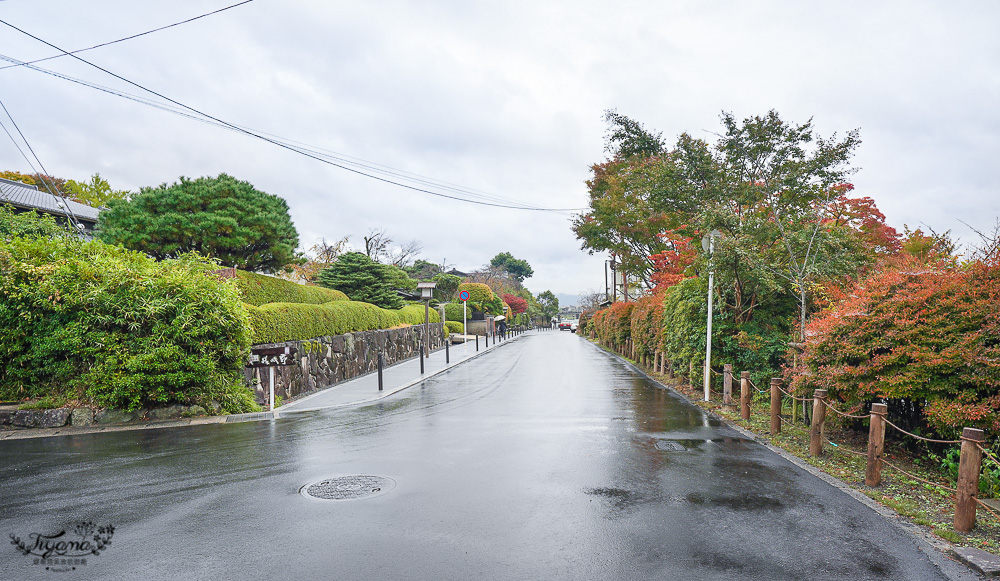 京都賞楓｜祐齋亭｜京都嵐山｜鏡面楓葉，染料藝術家工作室內的絕美秘境賞楓景點，宛如仙境！！ @緹雅瑪 美食旅遊趣