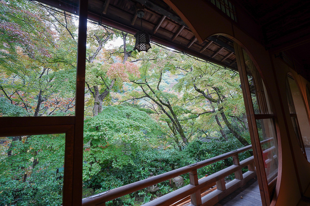 京都賞楓｜祐齋亭｜京都嵐山｜鏡面楓葉，染料藝術家工作室內的絕美秘境賞楓景點，宛如仙境！！ @緹雅瑪 美食旅遊趣