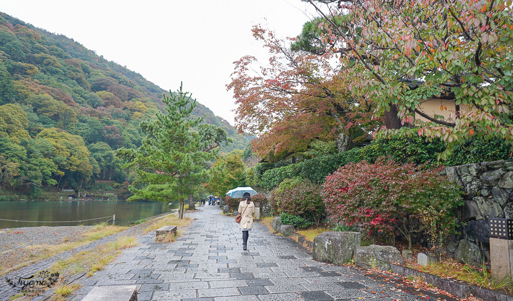 京都賞楓｜祐齋亭｜京都嵐山｜鏡面楓葉，染料藝術家工作室內的絕美秘境賞楓景點，宛如仙境！！ @緹雅瑪 美食旅遊趣