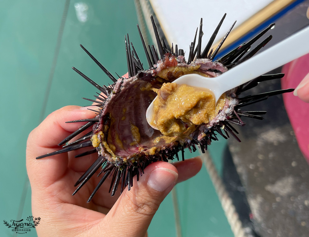 大溪漁港吃海鮮、買現流海鮮！！大溪漁港觀光直銷賣場｜大溪漁夫市集，宜蘭人氣觀光漁貨景點 @緹雅瑪 美食旅遊趣