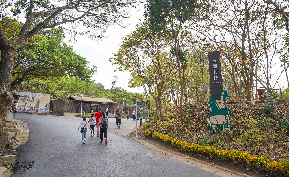 高雄壽山動物園全新開幕大改造！！兒童牧場、天空步道、黑熊山屋、水豚山屋、親水廣場、光室咖啡 @緹雅瑪 美食旅遊趣