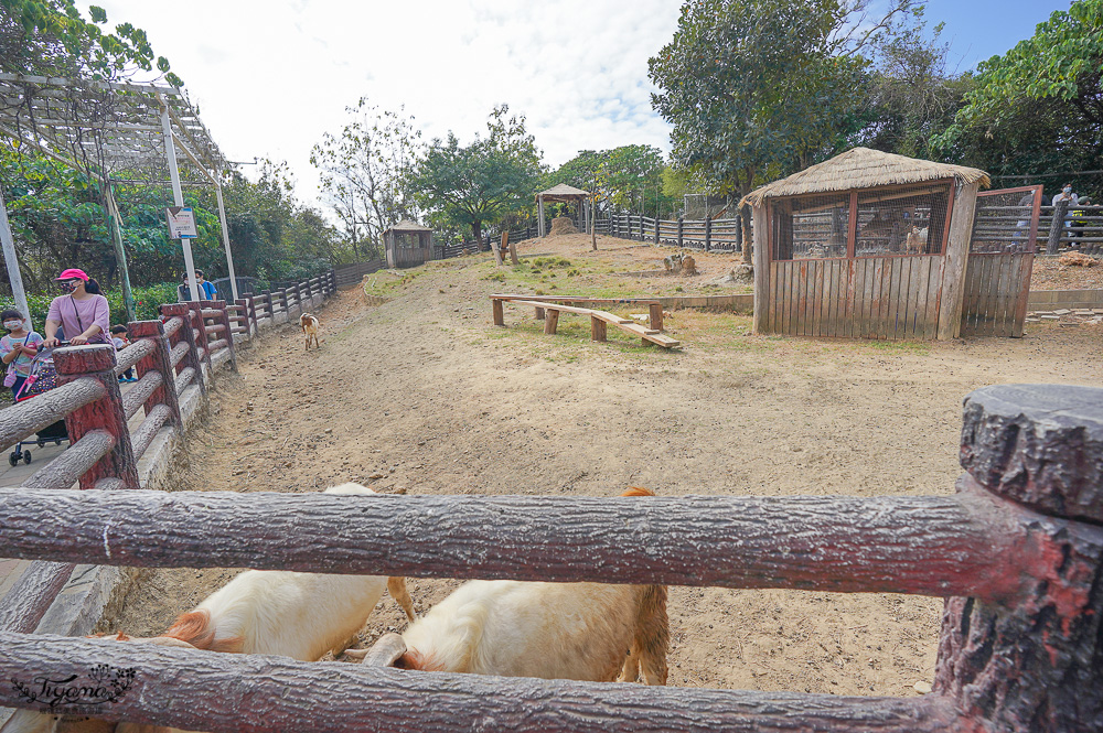 高雄壽山動物園全新開幕大改造！！兒童牧場、天空步道、黑熊山屋、水豚山屋、親水廣場、光室咖啡 @緹雅瑪 美食旅遊趣