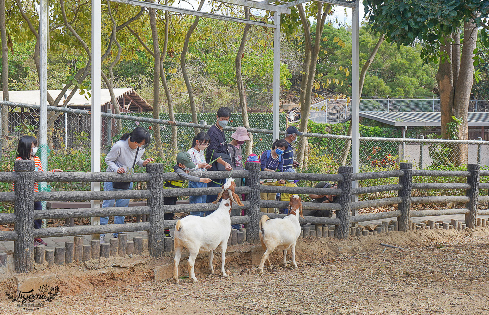 高雄壽山動物園全新開幕大改造！！兒童牧場、天空步道、黑熊山屋、水豚山屋、親水廣場、光室咖啡 @緹雅瑪 美食旅遊趣