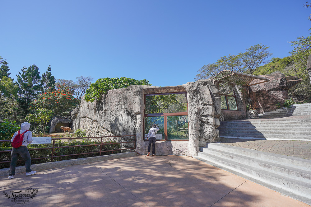 高雄壽山動物園全新開幕大改造！！兒童牧場、天空步道、黑熊山屋、水豚山屋、親水廣場、光室咖啡 @緹雅瑪 美食旅遊趣