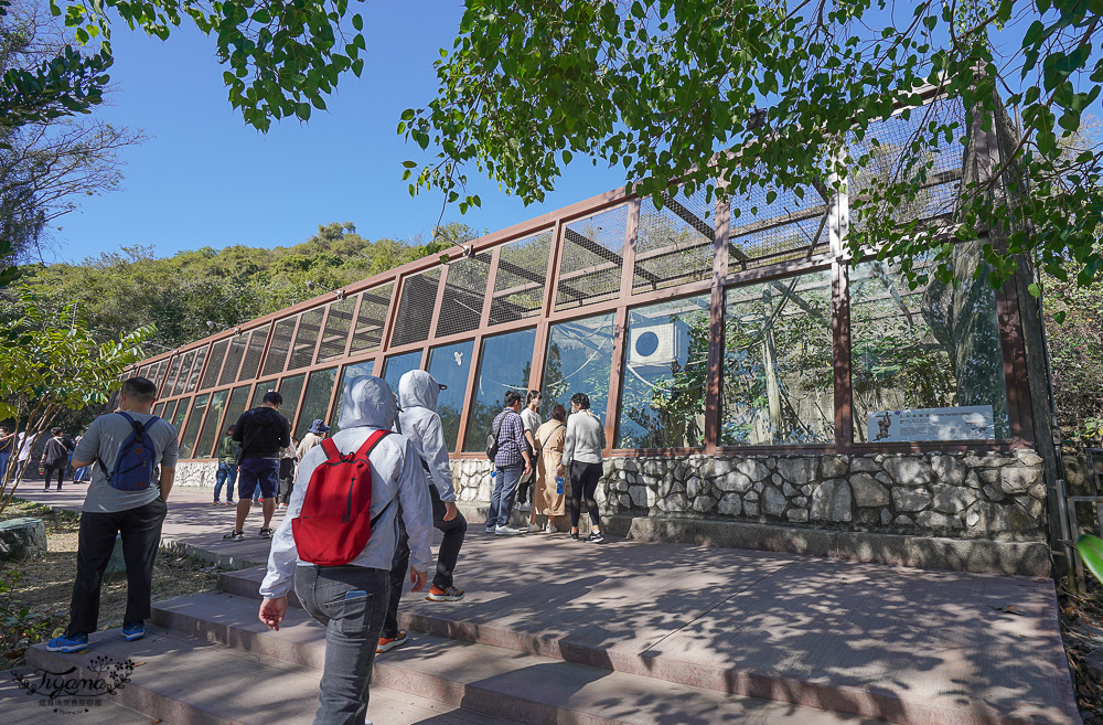 高雄壽山動物園全新開幕大改造！！兒童牧場、天空步道、黑熊山屋、水豚山屋、親水廣場、光室咖啡 @緹雅瑪 美食旅遊趣