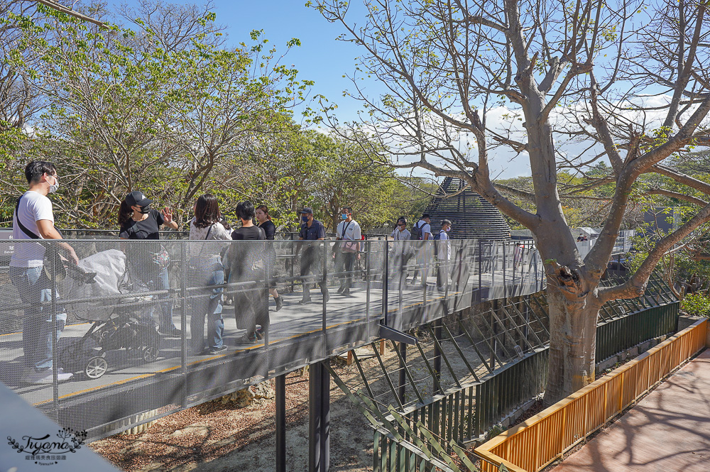 高雄壽山動物園全新開幕大改造！！兒童牧場、天空步道、黑熊山屋、水豚山屋、親水廣場、光室咖啡 @緹雅瑪 美食旅遊趣