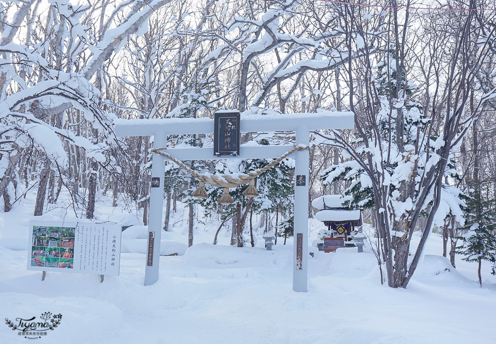 小樽景點 天狗山｜天狗山纜車｜天狗山展望台｜天狗山滑雪場～雪白冰樹、初戀取景，北海道三大夜景之一 @緹雅瑪 美食旅遊趣