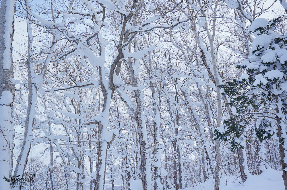 小樽景點 天狗山｜天狗山纜車｜天狗山展望台｜天狗山滑雪場～雪白冰樹、初戀取景，北海道三大夜景之一 @緹雅瑪 美食旅遊趣