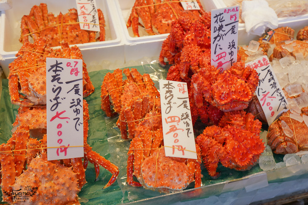 二条市場｜札幌景點：札幌市區海鮮市場，吃海鮮料理當早餐的好地方 @緹雅瑪 美食旅遊趣