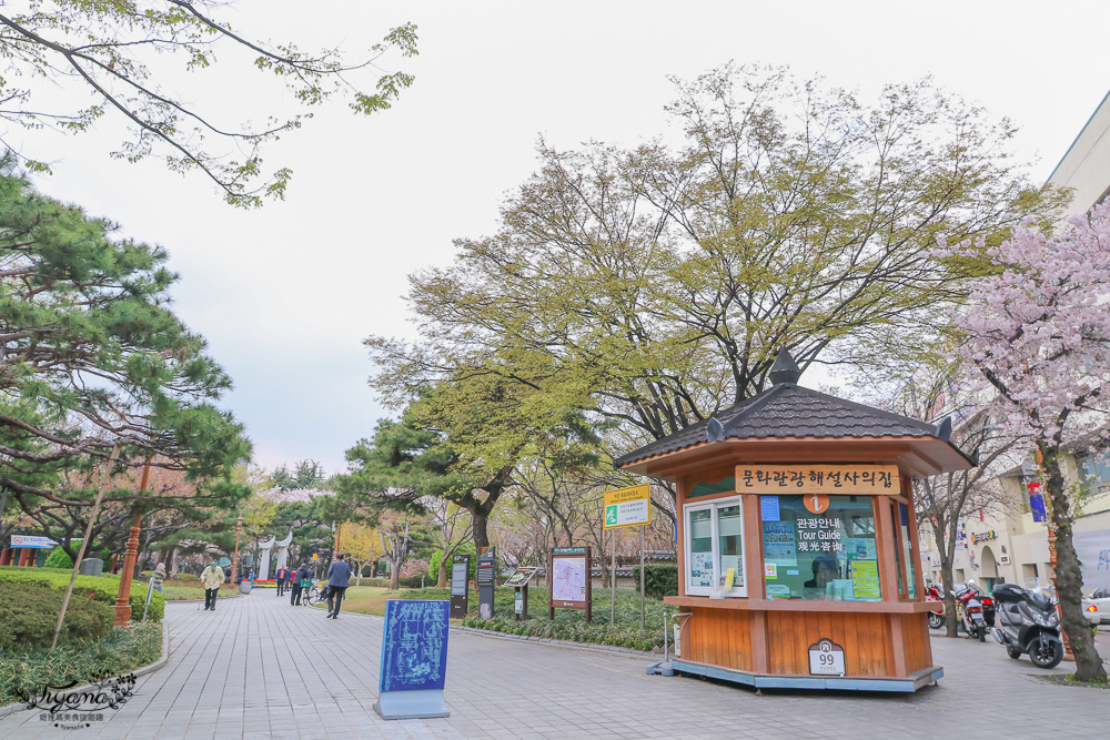 大邱賞櫻景點｜慶尚監營公園，大邱市區就有絕美雪白粉櫻花林 @緹雅瑪 美食旅遊趣