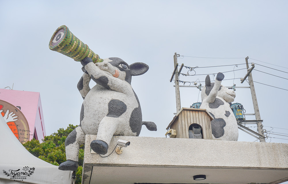 雲林免門票農場，千巧谷牛樂園牧場，好玩親子乳牛農場，沙坑、餵魚、餵乳牛 @緹雅瑪 美食旅遊趣