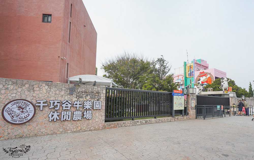 雲林免門票農場，千巧谷牛樂園牧場，好玩親子乳牛農場，沙坑、餵魚、餵乳牛 @緹雅瑪 美食旅遊趣