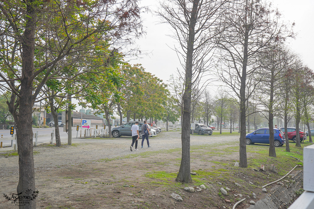 雲林免門票農場，千巧谷牛樂園牧場，好玩親子乳牛農場，沙坑、餵魚、餵乳牛 @緹雅瑪 美食旅遊趣