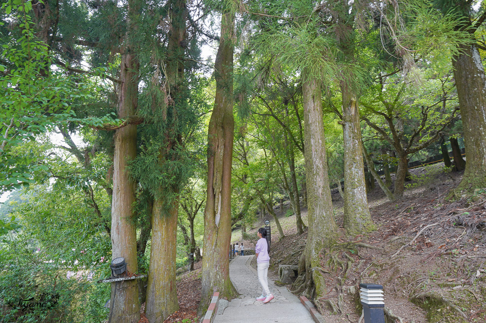 清境景點｜清境農場小瑞士花園，超好拍OPEN醬花園！！ @緹雅瑪 美食旅遊趣