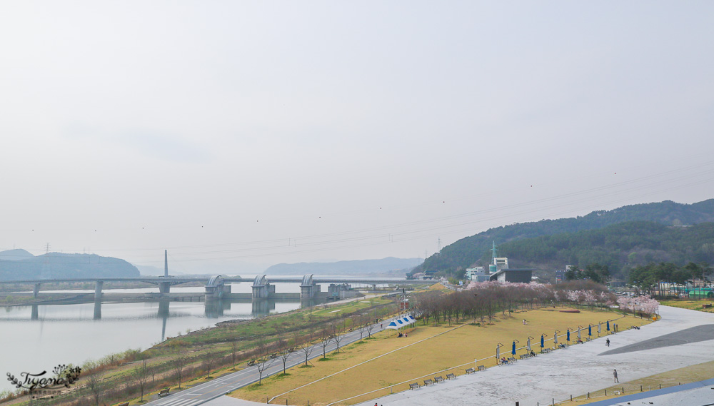 韓國大邱景點｜The Arc 文化館：巨大鯨魚飛蝶景觀台，文藝浪漫賞夜景約會景點 @緹雅瑪 美食旅遊趣