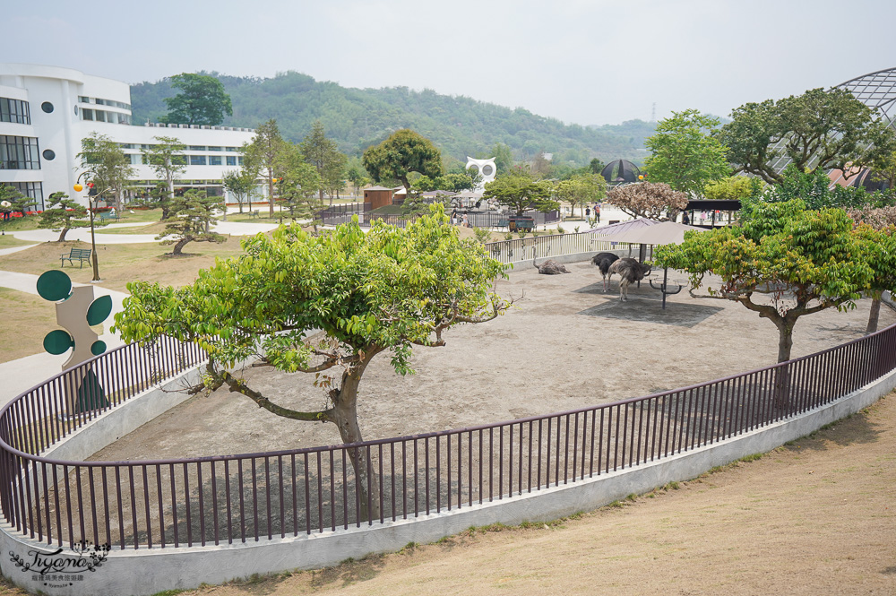 南投親子景點｜九九峰動物樂園，台版侏儸紀恐龍！！偽沖繩恐龍動物鳥樂園 @緹雅瑪 美食旅遊趣