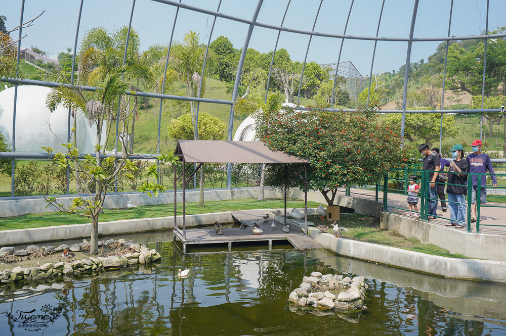 南投親子景點｜九九峰動物樂園，台版侏儸紀恐龍！！偽沖繩恐龍動物鳥樂園 @緹雅瑪 美食旅遊趣