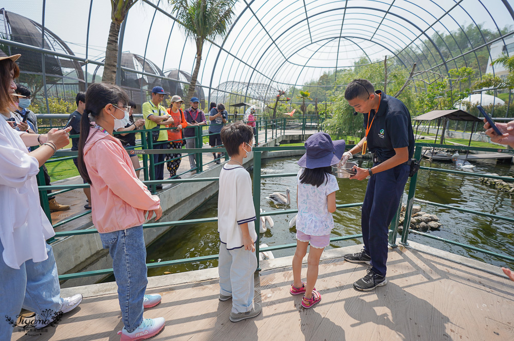 南投親子景點｜九九峰動物樂園，台版侏儸紀恐龍！！偽沖繩恐龍動物鳥樂園 @緹雅瑪 美食旅遊趣