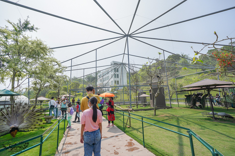 南投親子景點｜九九峰動物樂園，台版侏儸紀恐龍！！偽沖繩恐龍動物鳥樂園 @緹雅瑪 美食旅遊趣