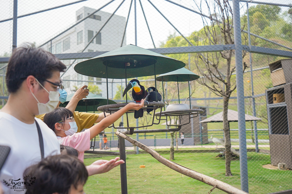 南投親子景點｜九九峰動物樂園，台版侏儸紀恐龍！！偽沖繩恐龍動物鳥樂園 @緹雅瑪 美食旅遊趣