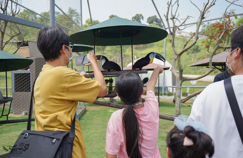 南投親子景點｜九九峰動物樂園，台版侏儸紀恐龍！！偽沖繩恐龍動物鳥樂園 @緹雅瑪 美食旅遊趣