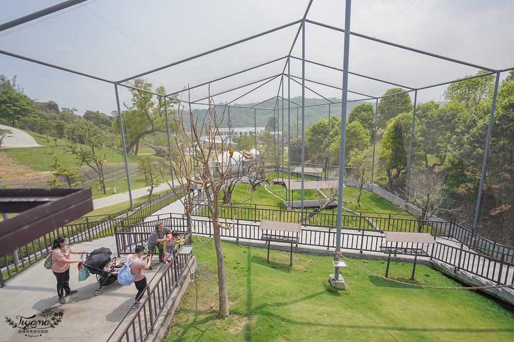 南投親子景點｜九九峰動物樂園，台版侏儸紀恐龍！！偽沖繩恐龍動物鳥樂園 @緹雅瑪 美食旅遊趣