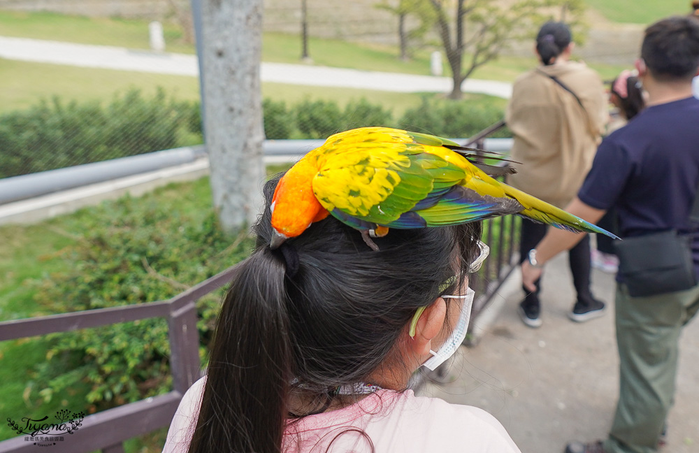 南投親子景點｜九九峰動物樂園，台版侏儸紀恐龍！！偽沖繩恐龍動物鳥樂園 @緹雅瑪 美食旅遊趣