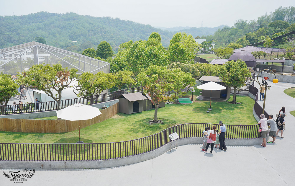 南投親子景點｜九九峰動物樂園，台版侏儸紀恐龍！！偽沖繩恐龍動物鳥樂園 @緹雅瑪 美食旅遊趣