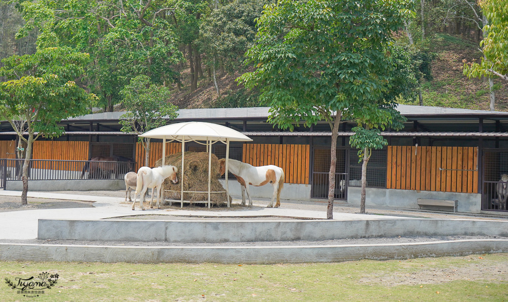 南投親子景點｜九九峰動物樂園，台版侏儸紀恐龍！！偽沖繩恐龍動物鳥樂園 @緹雅瑪 美食旅遊趣