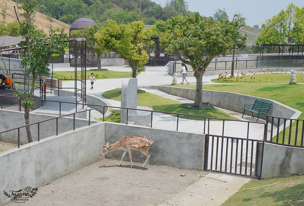 南投親子景點｜九九峰動物樂園，台版侏儸紀恐龍！！偽沖繩恐龍動物鳥樂園 @緹雅瑪 美食旅遊趣