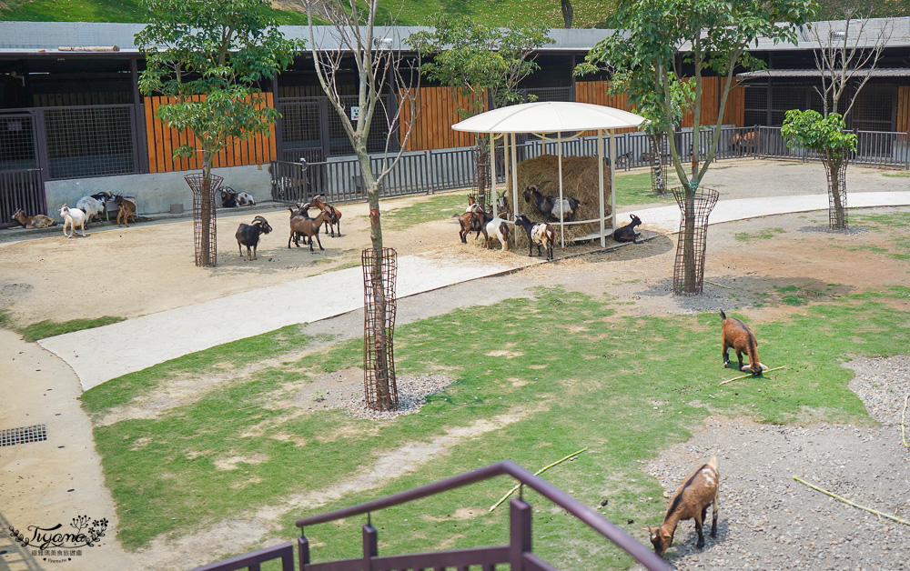 南投親子景點｜九九峰動物樂園，台版侏儸紀恐龍！！偽沖繩恐龍動物鳥樂園 @緹雅瑪 美食旅遊趣