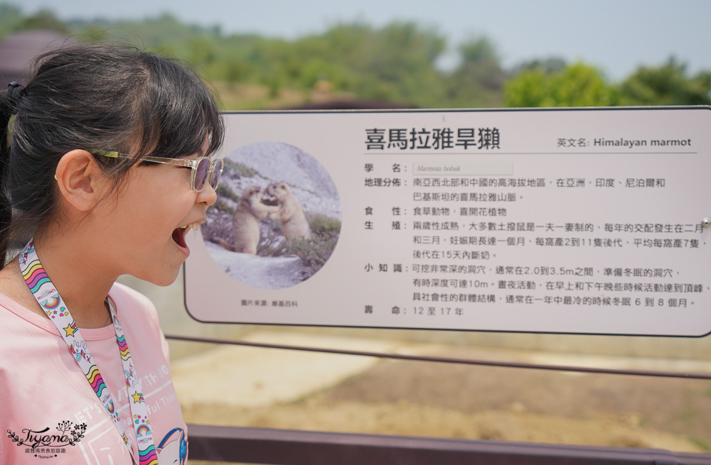 南投親子景點｜九九峰動物樂園，台版侏儸紀恐龍！！偽沖繩恐龍動物鳥樂園 @緹雅瑪 美食旅遊趣