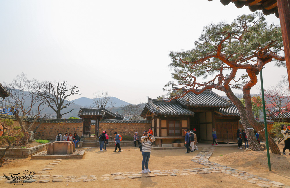 大邱景點。仁興村｜南平文氏本里世居地，百年韓國古宅，韓劇取景景點 @緹雅瑪 美食旅遊趣