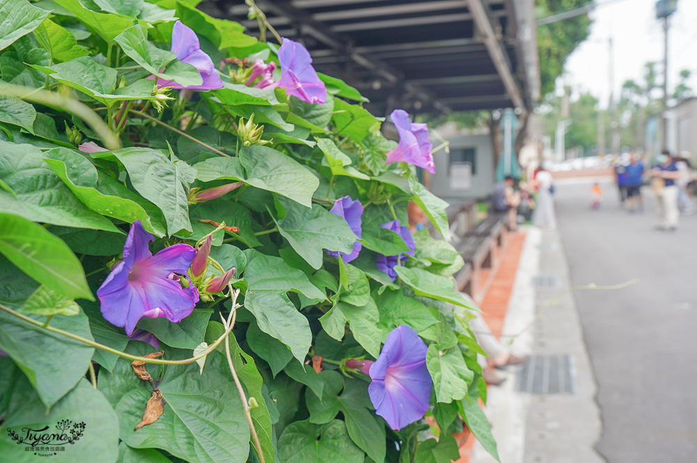 台南景點｜深緣及水善糖文化園區「南亭曲水流觴」，善糖文物館、善糖火車站冰品部 @緹雅瑪 美食旅遊趣