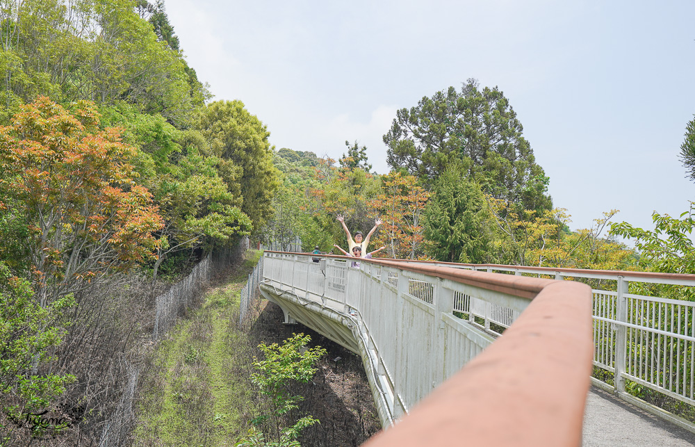 如何走「清境高空觀景步道」路線攻略：1.6公里單程走45分鐘，3條路線玩法推薦！！ @緹雅瑪 美食旅遊趣