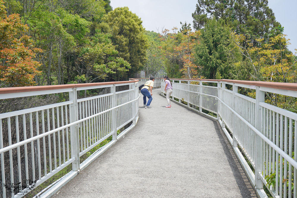 如何走「清境高空觀景步道」路線攻略：1.6公里單程走45分鐘，3條路線玩法推薦！！ @緹雅瑪 美食旅遊趣