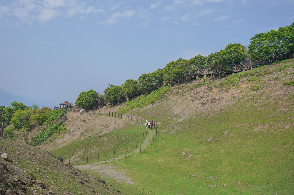 清境農場青青草原｜青青草原門票：清境景點必看療癒綿羊秀，宛如來到紐西蘭的大草原 @緹雅瑪 美食旅遊趣