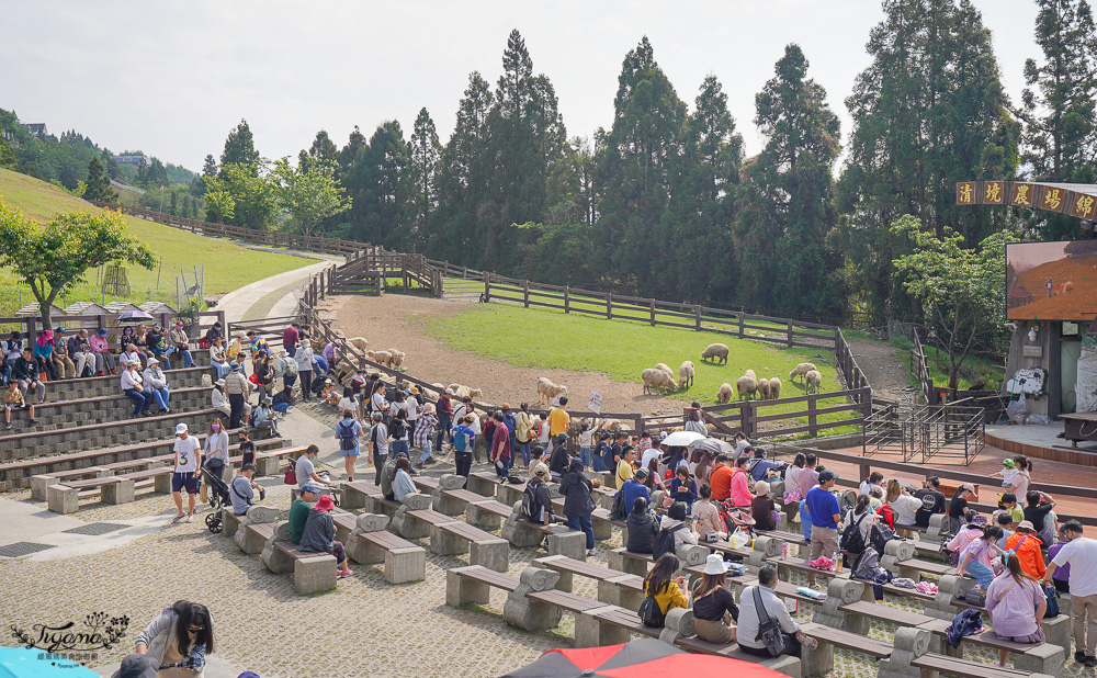 清境農場三個必遊經典景點，清境農場青青草原+高空景觀步道+小瑞士花園/三合一聯票 @緹雅瑪 美食旅遊趣