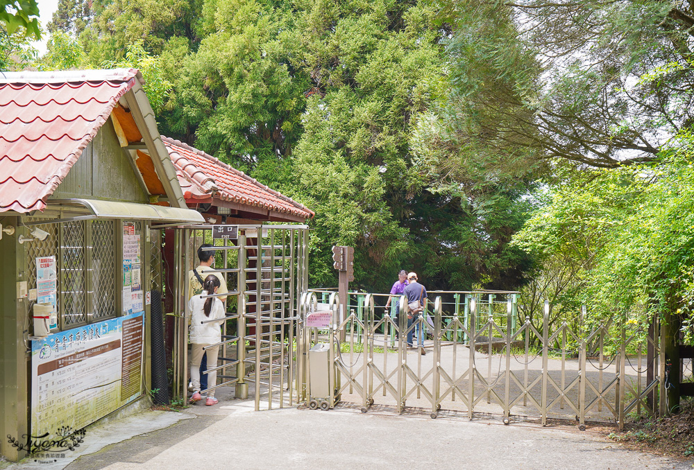 清境農場三個必遊經典景點，清境農場青青草原+高空景觀步道+小瑞士花園/三合一聯票 @緹雅瑪 美食旅遊趣