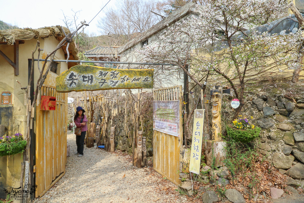 大邱一日遊巴士。大邱城市遊觀光巴士”洛東江路線”：輕鬆玩大邱郊區知名景點， 沙門津渡口、馬飛亭壁畫村、仁興村、The Arc @緹雅瑪 美食旅遊趣