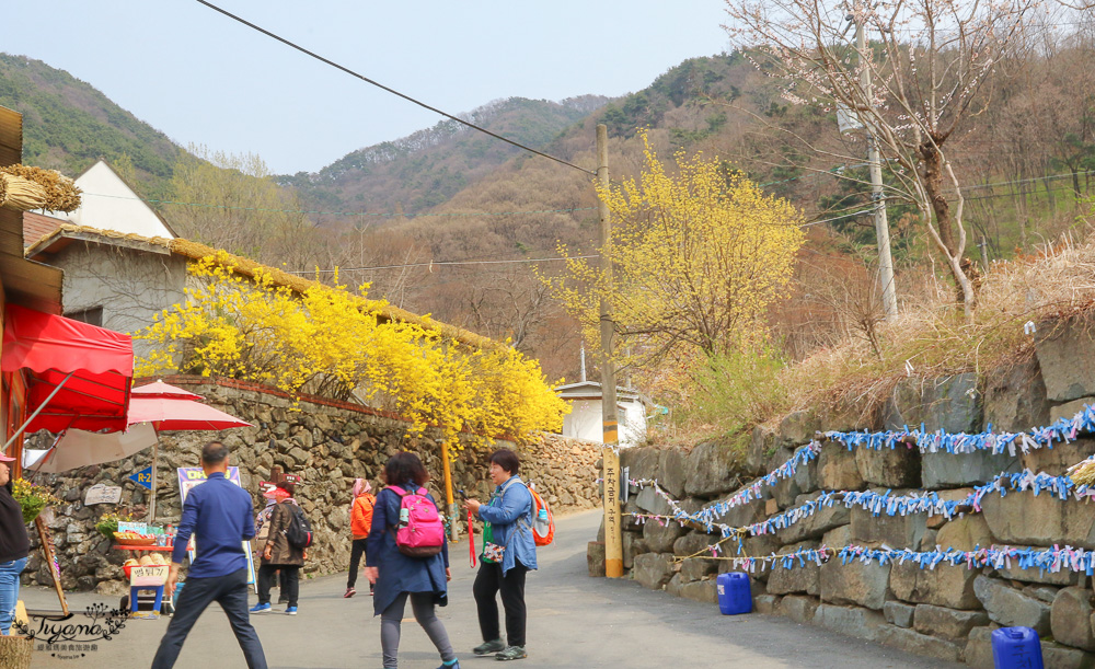 大邱景點。馬飛亭壁畫村：保留舊農村風光的壁畫村，洛東江路線一日遊行程 @緹雅瑪 美食旅遊趣