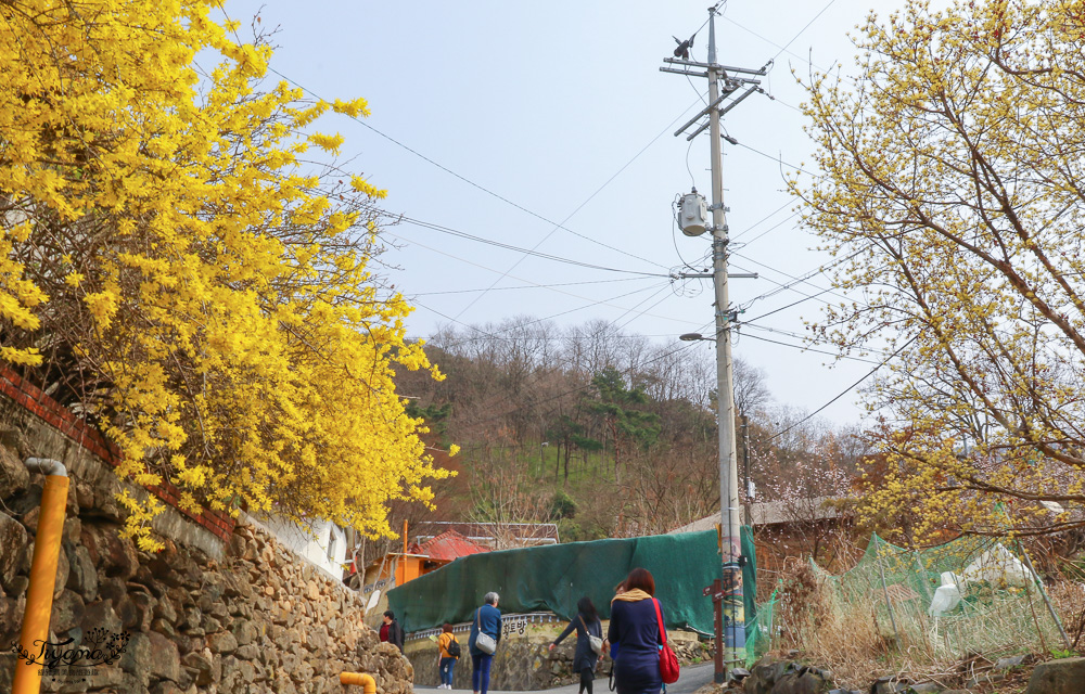 大邱景點。馬飛亭壁畫村：保留舊農村風光的壁畫村，洛東江路線一日遊行程 @緹雅瑪 美食旅遊趣